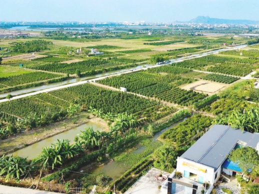Hải Phòng tập trung cao điểm hoàn thiện cơ sở dữ liệu đất đai Thành phố